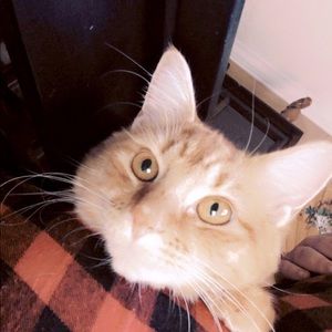 Meet your Posher, Hailey